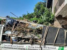 Best Dumpster Rental Services  in Moon Lake, FL